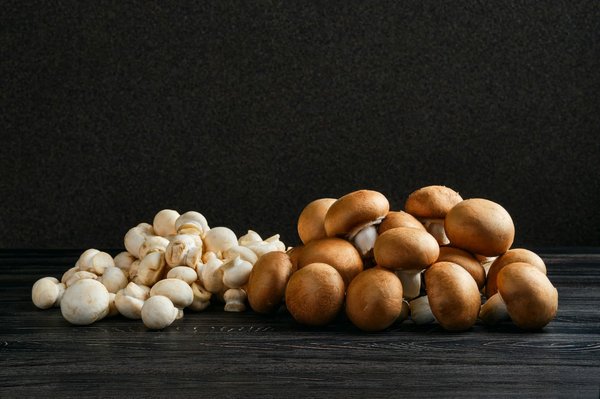 Comment intégrer des plats à base de champignons sauvages dans un menu automnal?